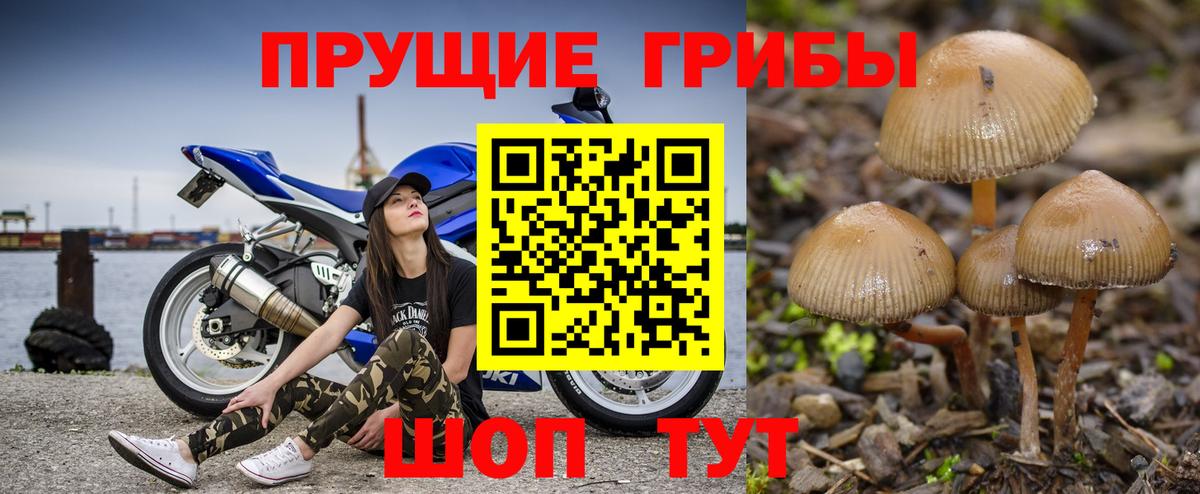 Горно-Алтайск  Галлюциногенные грибы ЛСД  Вход с VPN 