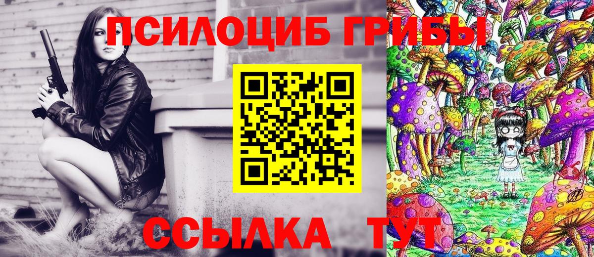 Бошки Шишки  Горно-Алтайск  Меф МЯУ МЯУ кристаллы  COCAIN  МЕФ  ГАШ  Вход с VPN  Гашиш 